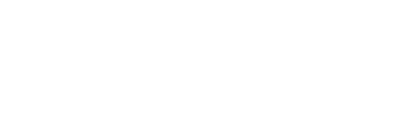 NOVA IMS SU Logo